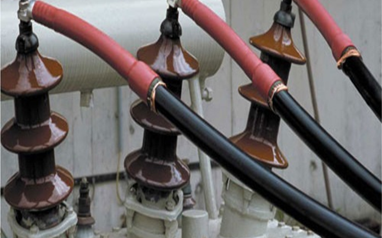 Surge Arrester / Insulator Assembly